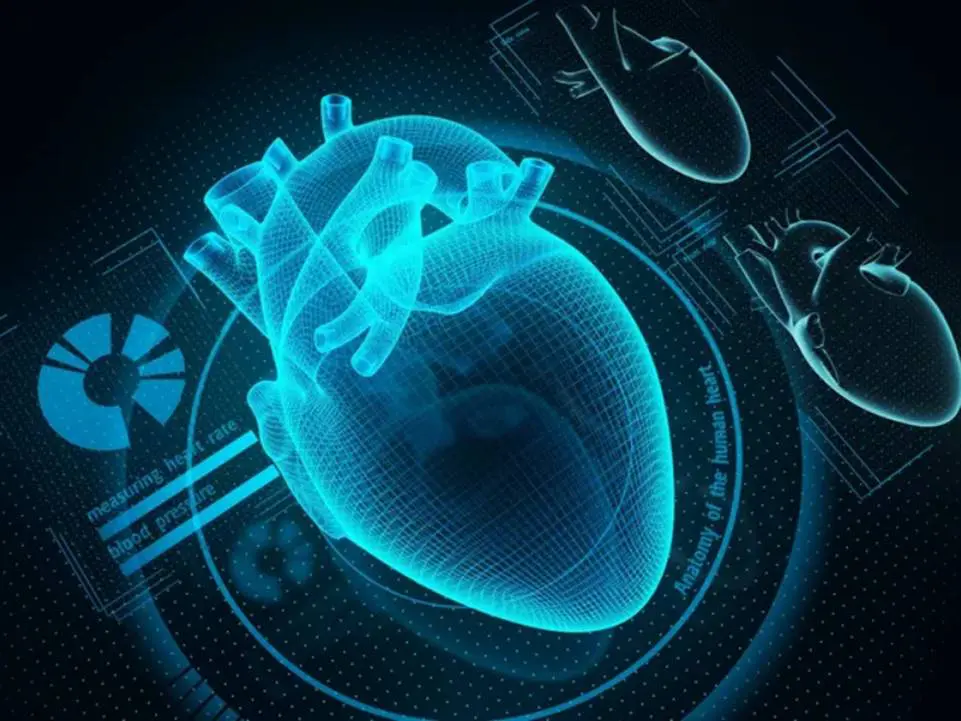 CARDIOVASCULAR SYSTEM